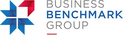 Business Benchmark Group logo featuring a geometric blue and red star design on the left and the company name in gray and blue text on the right, ideal for a plumbing business coach in Brisbane.