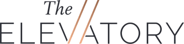 Logo for "The Elevatory," an ecommerce business coach Sydney brand, with "The" in italic font above "ELEVATORY." Two diagonal lines extend through the word, forming a stylized "V.