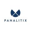 Navy blue geometric logo above the word "PANALITIX" in all caps, set against a white background—ideal for business coaching for accountants.