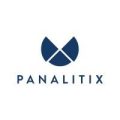 Navy blue geometric logo above the word "PANALITIX" in all caps, set against a white background—ideal for business coaching for accountants.
